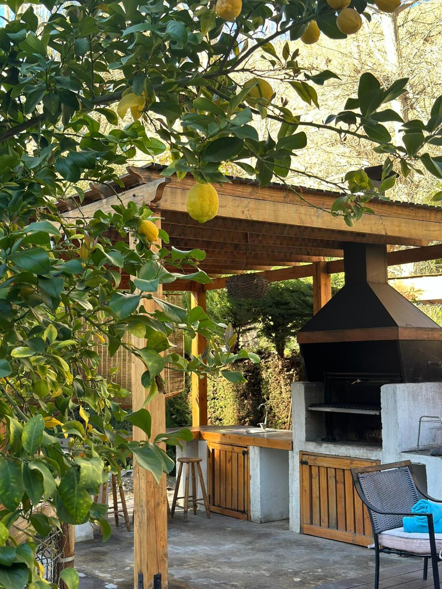 Aldea Del Valle - Elqui Villas, Pisco Elqui Cameră foto